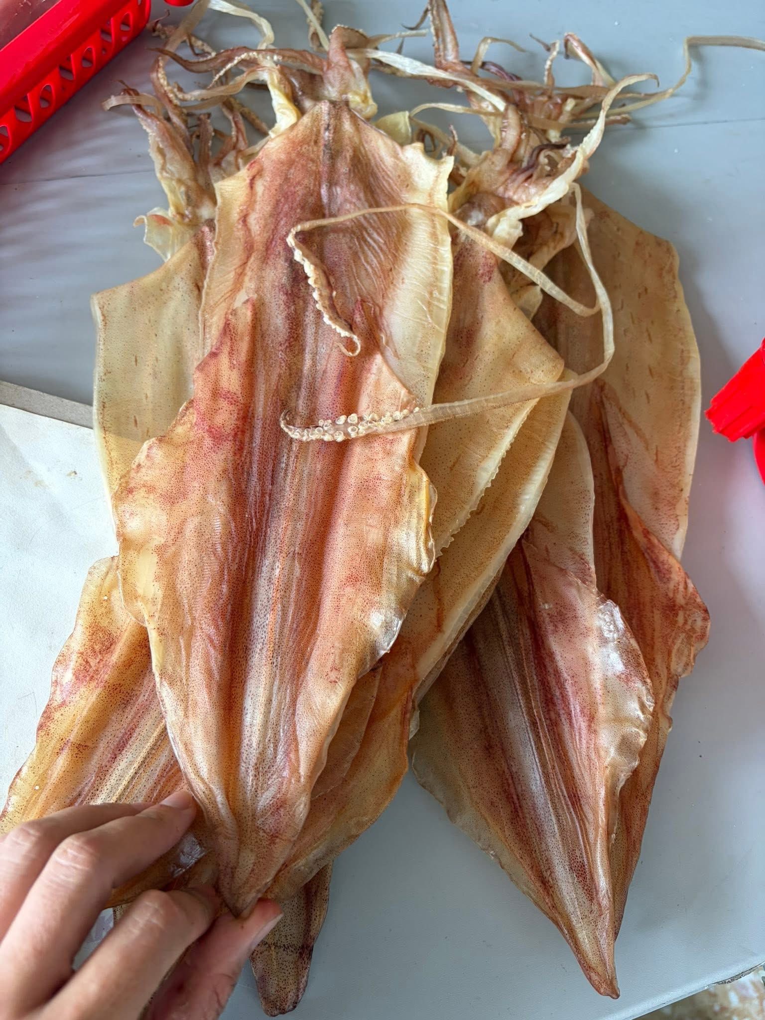 Mực một nắng - Mực câu một nắng